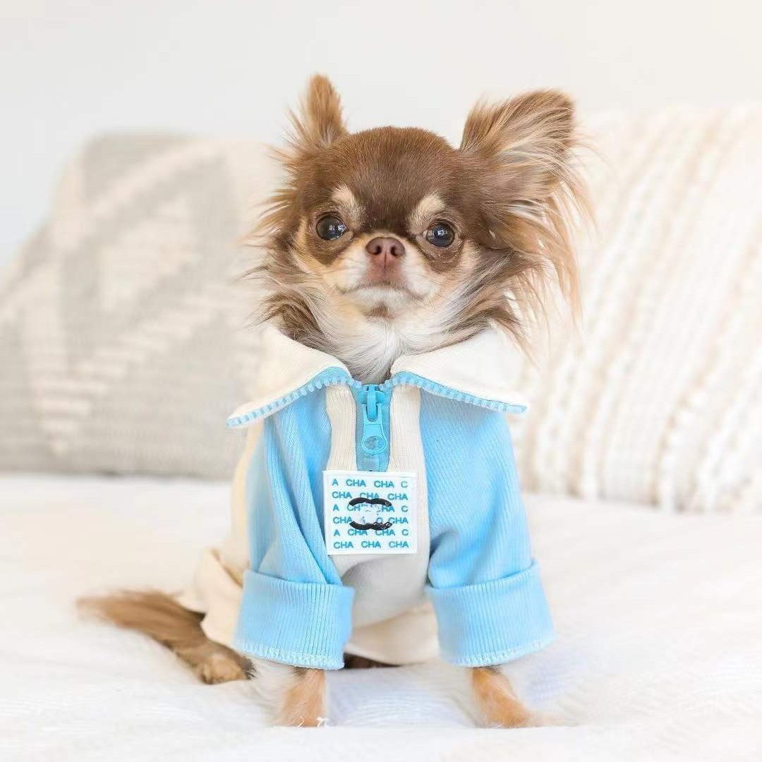 Winter Clothing Boys - Fashion Hoodie Dog Clothes Cotton for