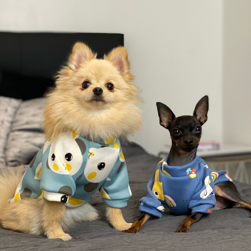 Xs Dog Clothes for Small Dogs  - Winter Clothing Boys 评论和价格