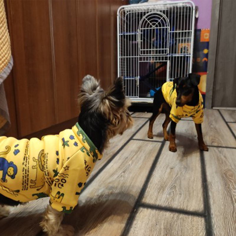 Xs Dog Clothes for Small Dogs  - Winter Clothing Boys 评论和价格